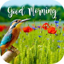 Winter is back Richard post image