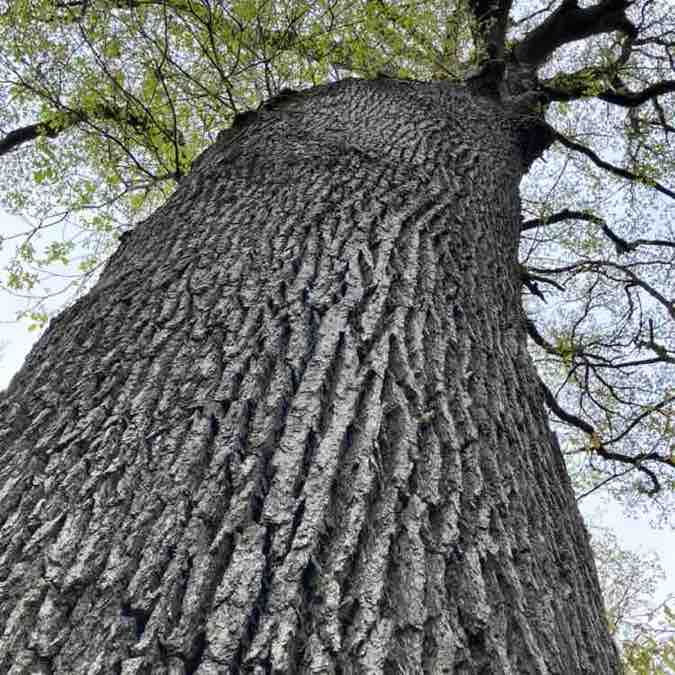 Team « pas » à gogo ! 🤪 Richard post image