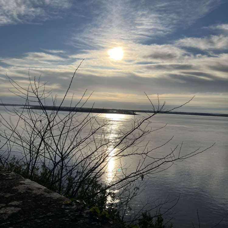 Шаги  за день Richard post image