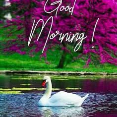 💜WALKING IS HEALTHY💜 Richard post image