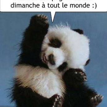 福岡、よかとこ隊（たい） Richard post image