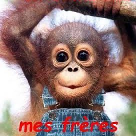 Pacerstars Richard post image