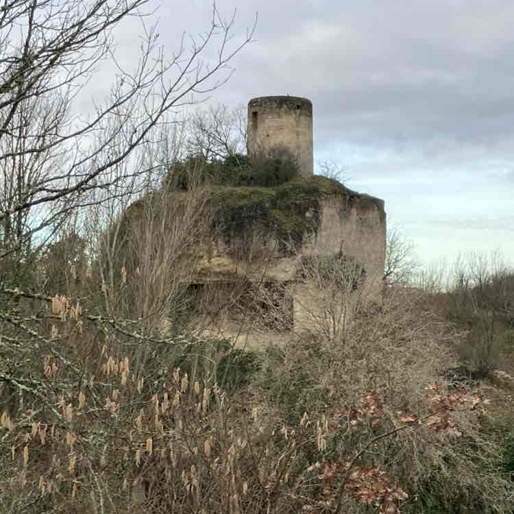 2026 😎Step Challenge😎 Richard post image