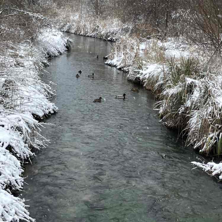 福岡、よかとこ隊（たい） Richard post image