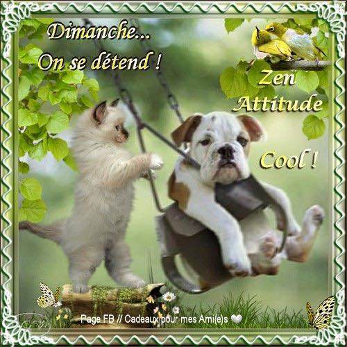 2026 😎Step Challenge😎 Richard post image