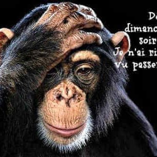 Pacerstars Richard post image