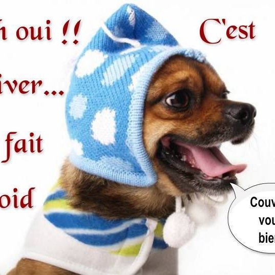 Шаги  за день Richard post image