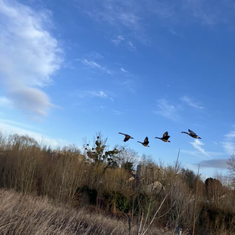 福岡、よかとこ隊（たい） Richard post image