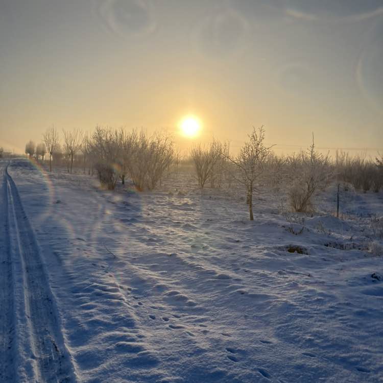 ๐La joie & la bonne humeur ๐ Richard post image