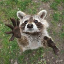 🌟✨Star’s Superstars ✨🌟 Richard post image