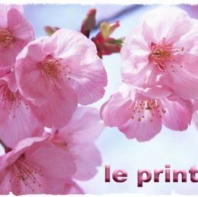 Longue vie en marchant 🥾 Richard post image