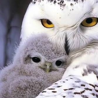 ๐La joie & la bonne humeur ๐ Richard post image