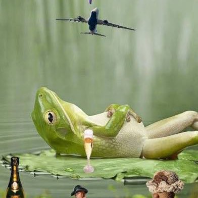 Les Amis à Melko Richard post image