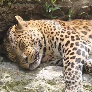 The Year Around Walker’s Richard post image