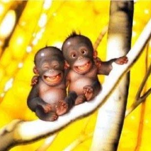 Les Amis à Melko Richard post image