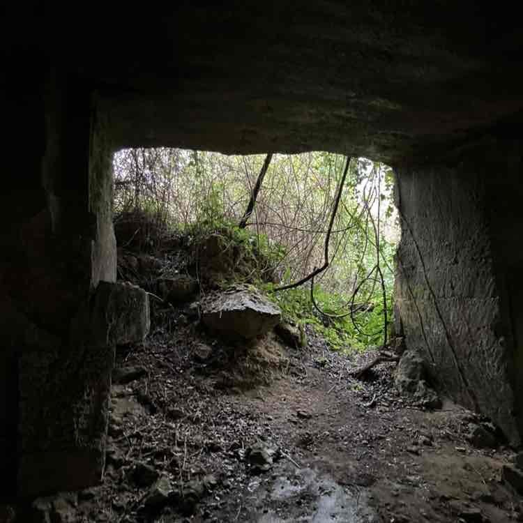 Changing The Game Richard post image