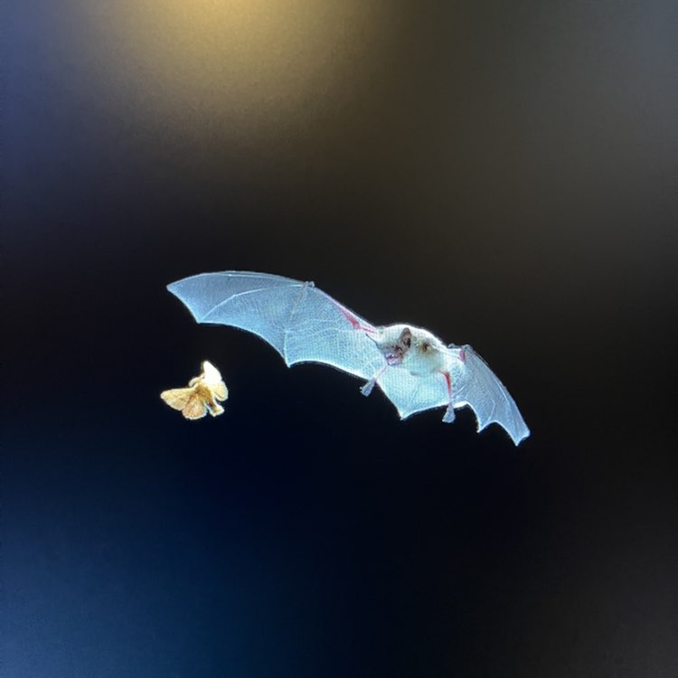 Changing The Game Richard post image