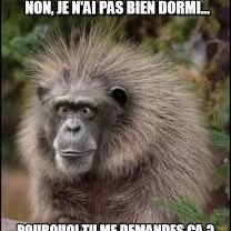 Les Amis à Melko Richard post image