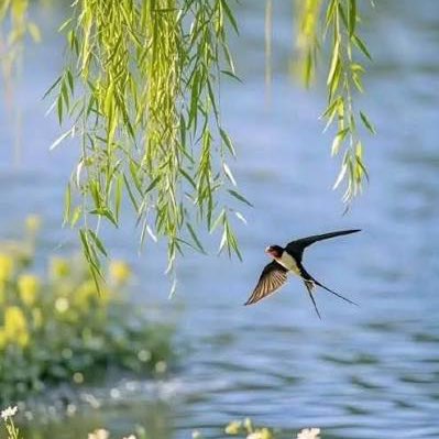 Шаги  за день Richard post image