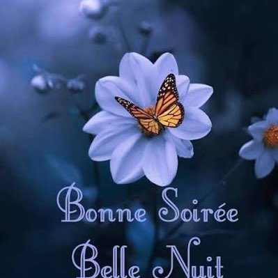 Matriochka Richard post image