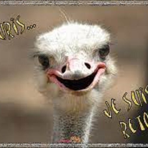 Les Amis à Melko Richard post image