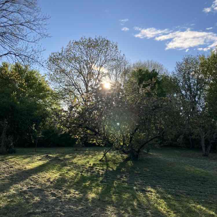 Matriochka Richard post image