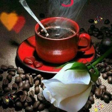 🌟✨Star’s Superstars ✨🌟 Richard post image