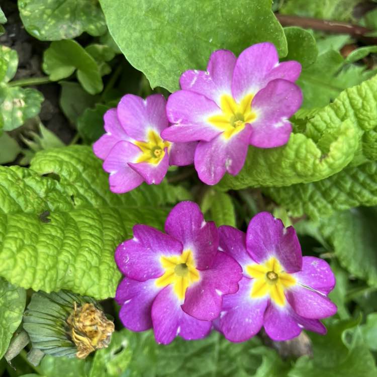 ✨️FUN TIMES✨️ Richard post image