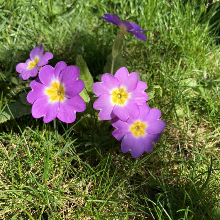 ✨️FUN TIMES✨️ Richard post image