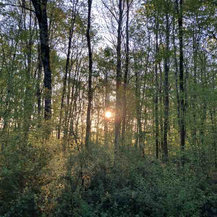 Matriochka Richard post image