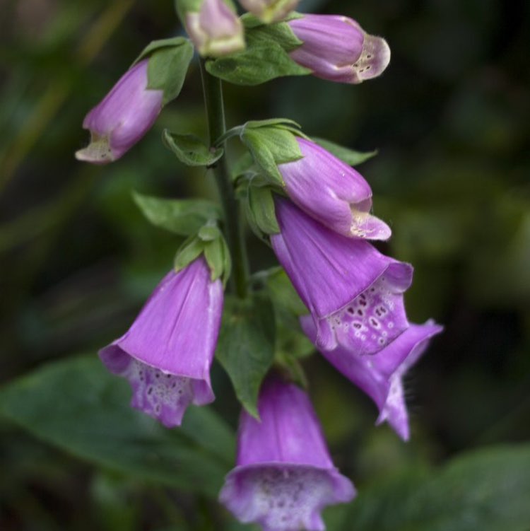 ✨️FUN TIMES✨️ Richard post image