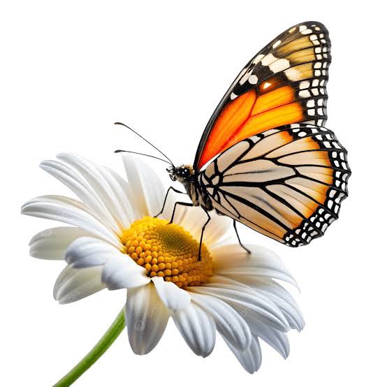 💜WALKING IS HEALTHY💜 Richard post image