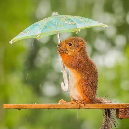 April 5k Race #2 Richard post image