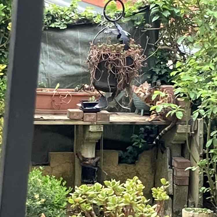 April 5k Race #2 Richard post image