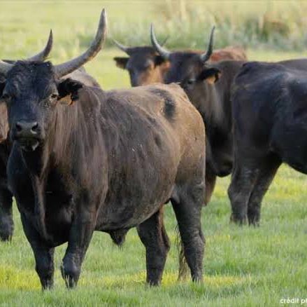 💜WALKING IS HEALTHY💜 Richard post image