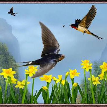 2026 😎Step Challenge😎 Richard post image