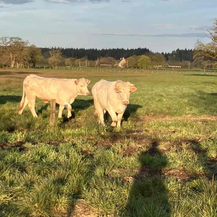 April 5k Race #2 Richard post image