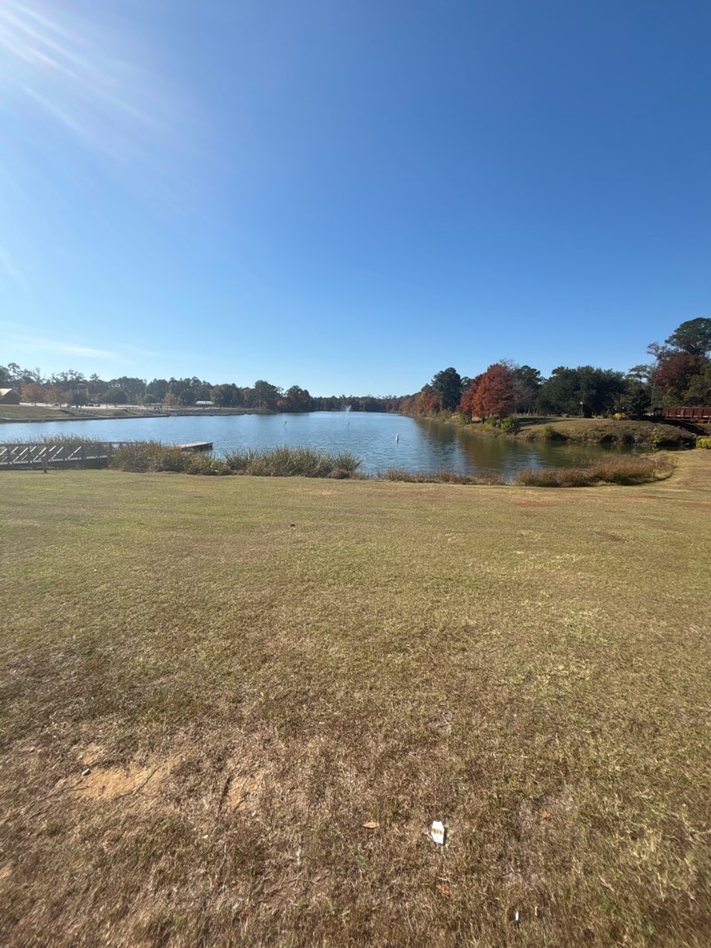 walking near me in Cheney Griffin Park in autumn