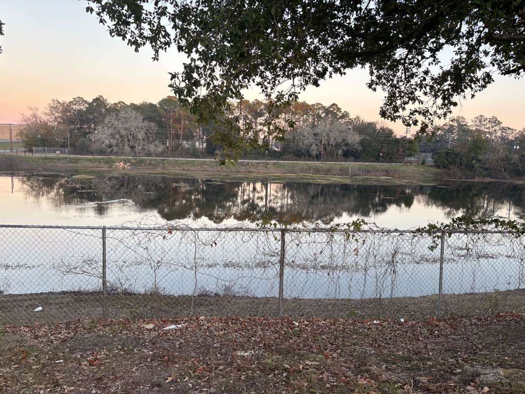 walking near me in The Duck Pond in winter