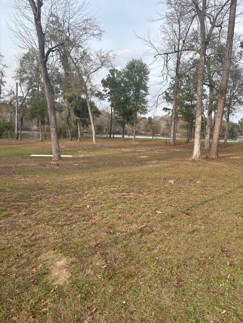 walking near me in Cheney Griffin Park in winter