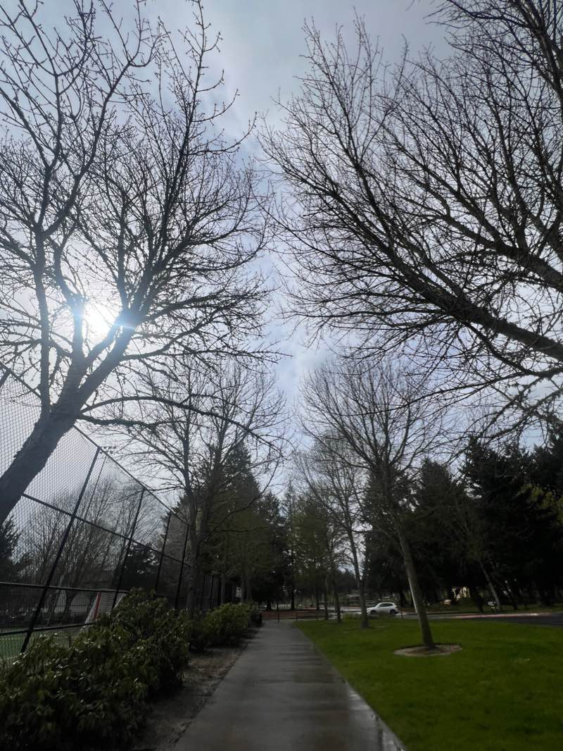 walking near me in 53rd Avenue Community Park in winter