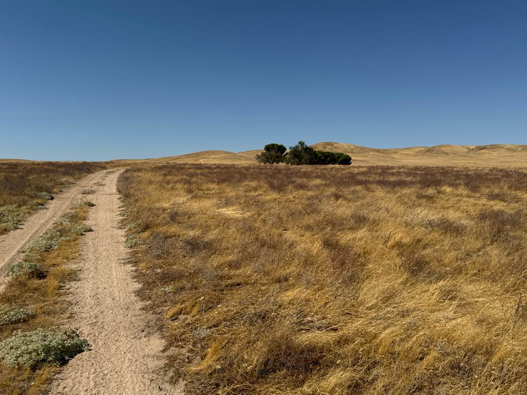 walking near me in Antelope Valley California Poppy Preserve in winter