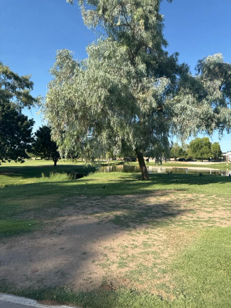 walking near me in Singh Meadows in winter