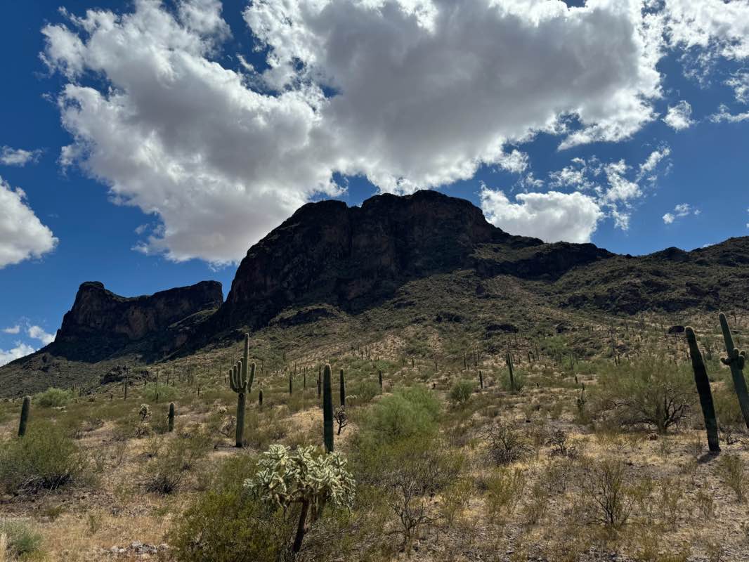 walking near me in Picacho Peak State Park in winter