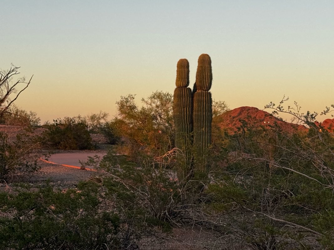 walking near me in Rio Salado Park in autumn