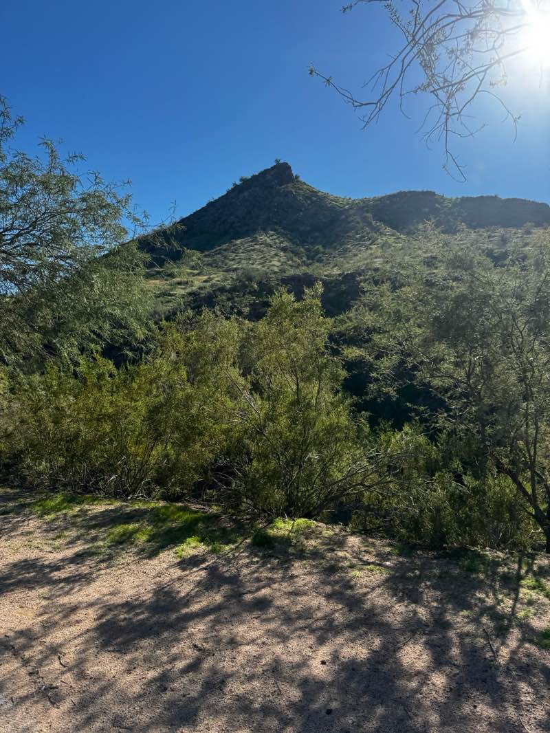 walking near me in Marina Heights Courtyard in winter