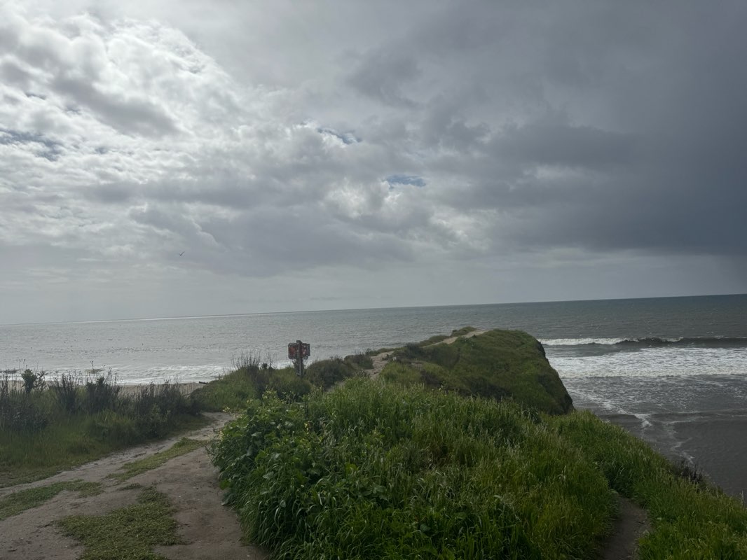 walking near me in San Lorenzo Park in spring