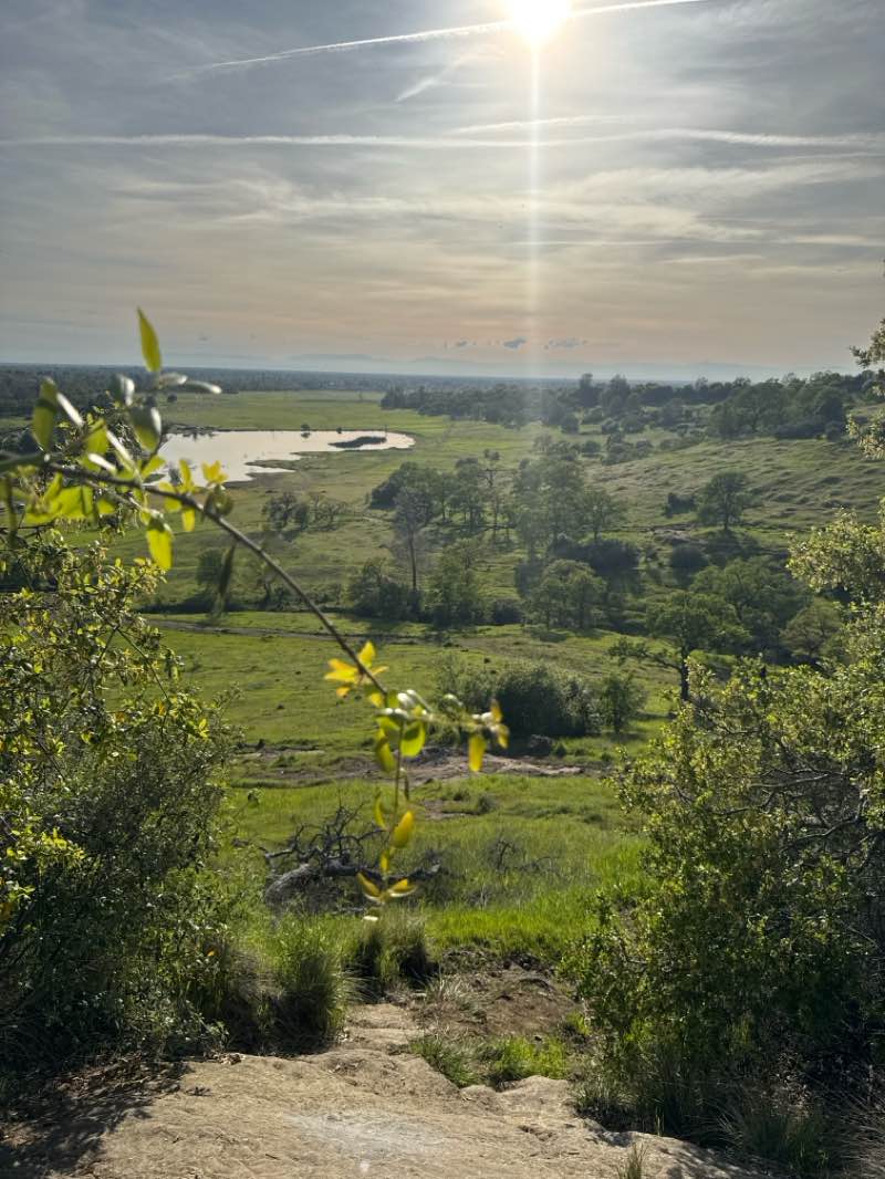 walking near me in Upper Bidwell Park in spring