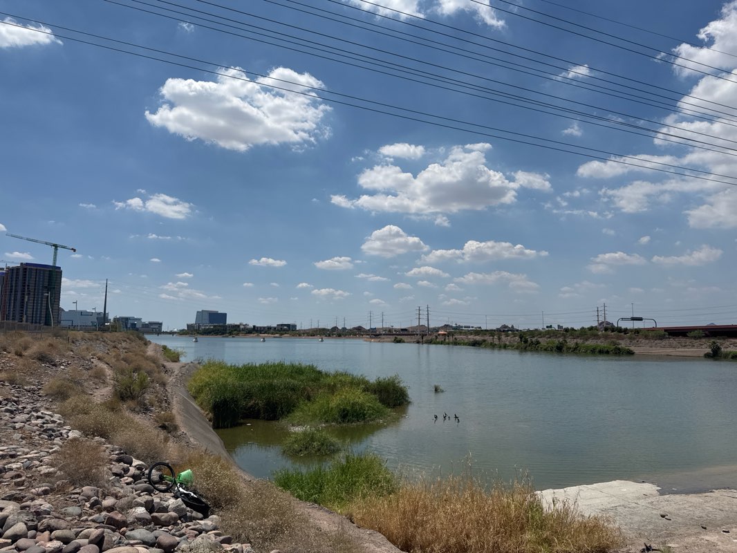 walking near me in Hayden Butte Preserve in summer