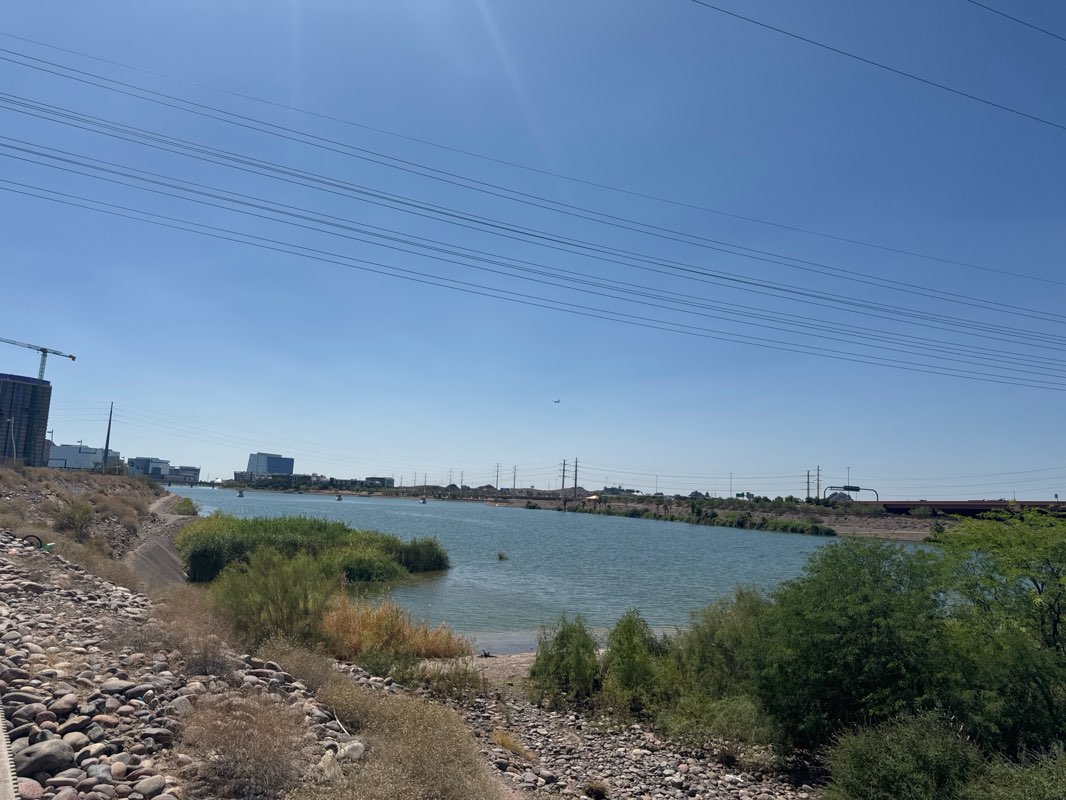 walking near me in Marina Heights Courtyard in summer